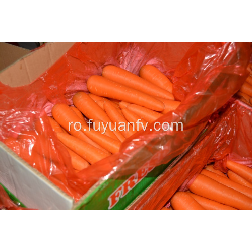 Legume proaspete de morcov pentru vânzare